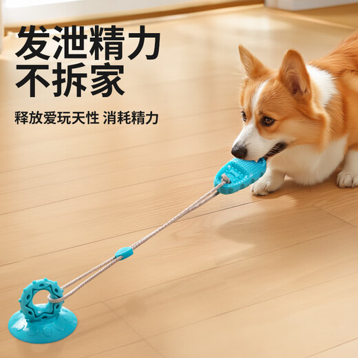 Qi Oh dog toy suction cup, bite-resistant suction cup to relieve boredom, self-pleasure tool, border collie, energy-consuming puppy toy, pet supplies, bite-resistant suction cup-blue