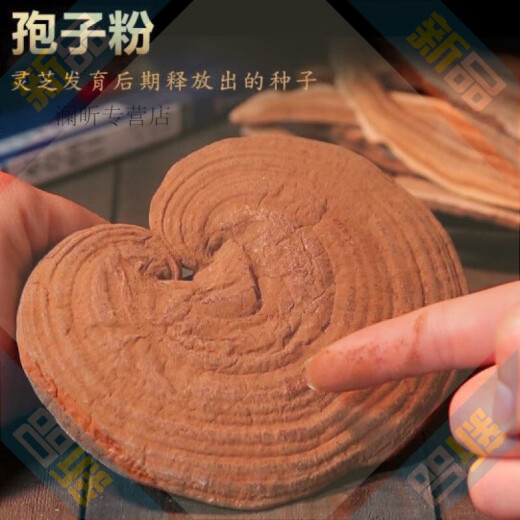 长白山长白山优选灵芝孢子粉头道林芝孢子粉赤灵芝+灵芝片一袋 孢子粉礼盒中国红500克两瓶