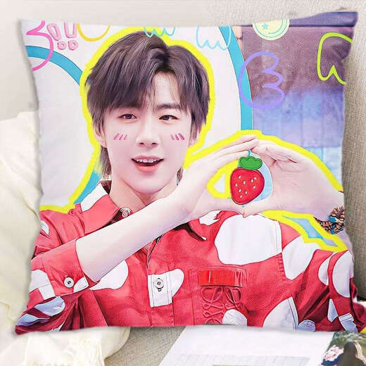 Liu Yuning pillow modern brothers double-sided cushion best friend classmate birthday gift room bedside pillow Liu Yuning 1 50x80cm (pillow core + pillowcase)
