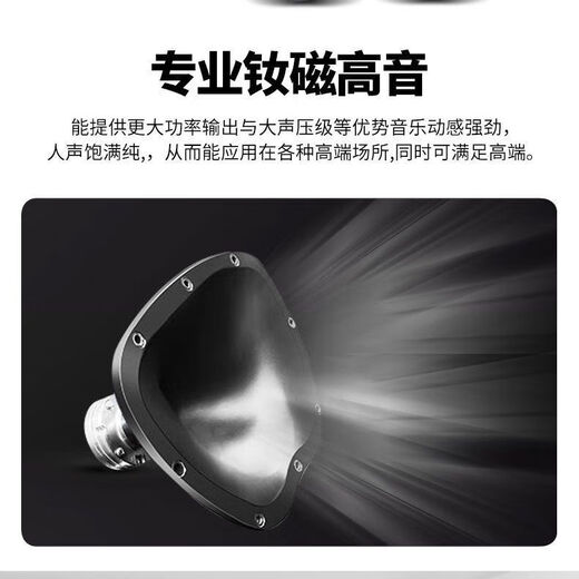 爱国者家庭KTV音响套装全套点歌机卡拉OK一体机家用专业K歌重低音 美声功放KTV全套+12寸双炮+投影 双十寸10单元音响