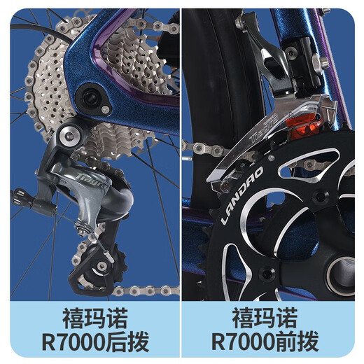 
Feige (FLYING PIGEON) Feige carbon fiber full-in-line road bicycle oil brake adult male and female commuter student car racing car 22 speed aluminum car ring-Shimano R7020- Gradient purple 460 height (recommended height 165-180cm)