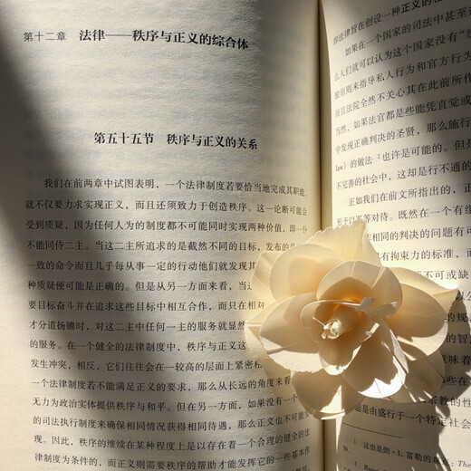 Jurisprudence Legal Philosophy and Legal Method Introduction to Law Bodenheimer Logical Law Law and Science