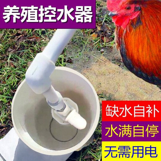 Xushansi's new chicken, duck, goose and poultry automatic waterer, water feeder, duck drinking water tank, cattle and sheep breeding equipment and supplies, third generation 4-point (20mm) upper water inlet