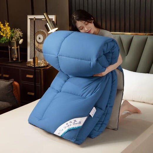 羽绒被95白鹅绒加厚保暖冬被春秋被单双人酒店被冬季被芯棉 150*200夏被 蓝灰色