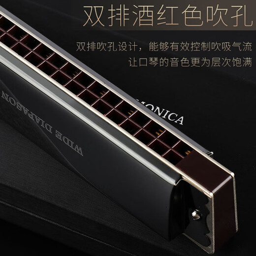 天鹅德国进口音簧28孔复音口琴高端成人重音送礼品专业演奏级乐器 金色复音C调