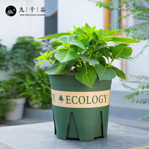Nine Thoush Valley Gallon Flower Pot de 5 galones Garantía de jardinería Plantación verde Pot de plástico Flower Pot 30*30cm 2 paquetes 5945