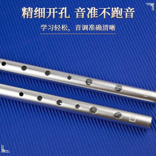 杉贝爱尔兰哨笛C调D调笛子儿童初学者高音直笛竖笛六孔乐器 标准款D调黑色+丰富