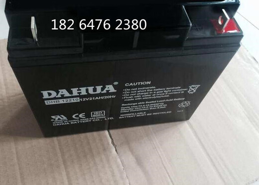 纪俪田适用于蓄电池DHB12210 12V21AH消防通讯UPS 电源监控门禁 照明