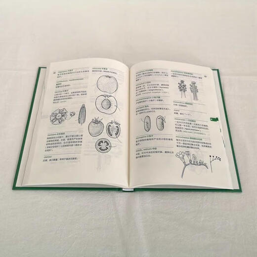 植物学家的词汇手册:图解1300条园艺常用植物学术语苏珊·佩尔大学出版社有限公司9787301310