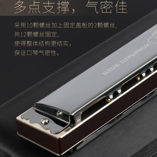 天鹅德国进口音簧28孔复音口琴高端成人重音送礼品专业演奏级乐器 金色复音C调