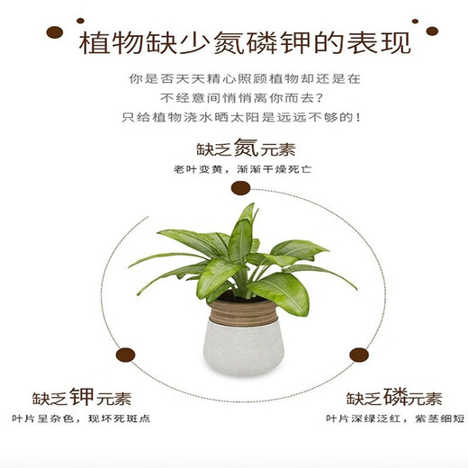 Basemanwei 15-15-15 nitrogen, phosphorus and potassium compound fertilizer for vegetables, household cauliflower fertilizer, organic fruit tree slow-release fertilizer, large package, the whole bag 80 Jin Jin is equal to 0.5 kg