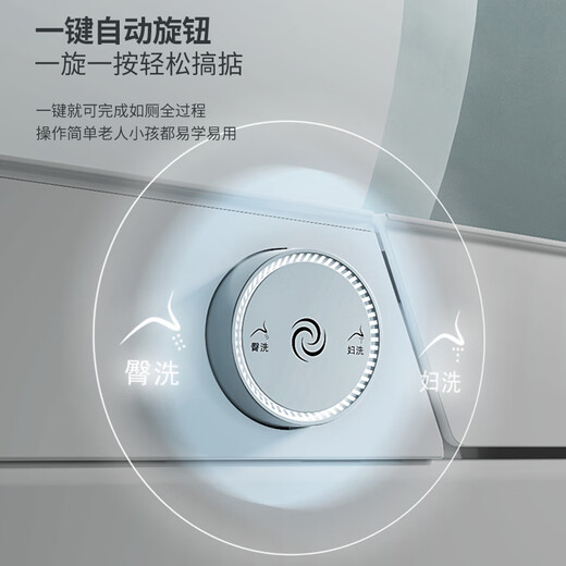 Faensa Light Smart Toilet All-in-one Waterless Toilet Off-Seat Automatic Flushing Seat Heated Small Household Toilet Spot 21040E Foot Feeling Flush Women's Wash 300 Pit Distance