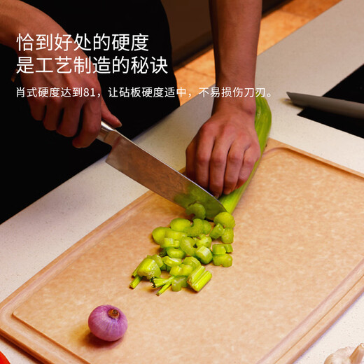 世廚（SAGE）美国进口切菜板抗菌砧板案板耐高温带凹槽和防滑垫30*45*1cm