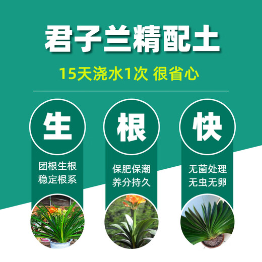 Flower Master Clivia Soil Special Nutritional Soil Clivia Soil Special Nutrient Soil Flower Soil Potting Soil Planting Soil Fertilizer Clivia Soil 7 liters Get 3 gifts and put them under the bag