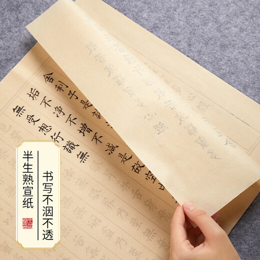 Liupin Academy Heart Sutra copybook small regular script pen-style calligraphy calligraphy introduction soft-pen manuscript special practice paper Buddhist sutra set tracing red rice paper half-cooked