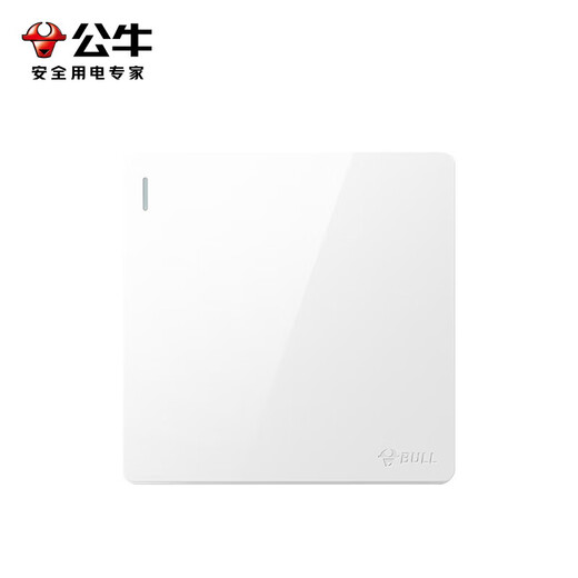 BULL oberflächenmontierte große Panel-Schaltsteckdose G59-Serie, Ein-Ein-Einzelsteuerschalter G59K111