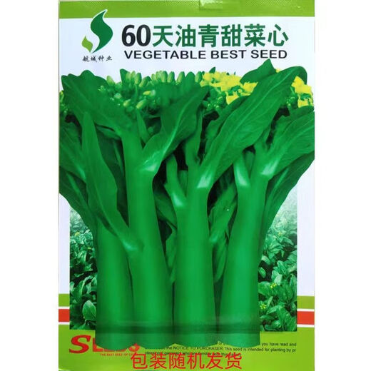 60-day oily green beetroot seeds, early maturing and high temperature resistant, spring and autumn four-season super beet moss seeds, farm vegetable seeds, 60-day oily green beetroot seeds, original factory packaging of 5 packs