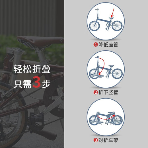 DAHON D5 folding bicycle 16-inch 5-speed retro men's and women's urban outdoor leisure portable bicycle HAC653 Chinese red