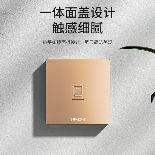 SAMZHE Computer Socket Network Port Network Panel Suitable for Telephone Information Module Universal Category 5/6/7 Module Thickened 86 Type Panel Category 6 Gigabit Module*2+Dual Port Panel-White