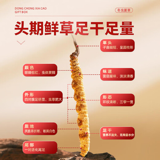 Juhetai Cordyceps sinensis gift box 40 tubes 10g New Year's Day New Year's Day gifts for parents and elders healthy nutritional supplements