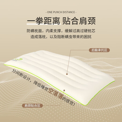 Nanjiren (Nanjiren) Almohada para niños Almohada baja Par de almohadas centrales ultrafinas Dormir Vértebra cervical profunda Almohada suave Hogar para adultos Cabeza entera única Almohada lavable antiácaros de clase A - Paquete individual 35x60 cm Almohada para estudiantes de tamaño mediano