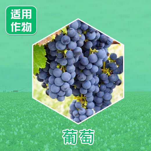 Lanyue Haomeide Chlorfenuron Gibberellic Acid Grape Special Yield-Increasing Fruit-Setting Spirit Plant Growth Regulator Top 100ml