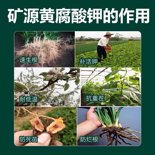 Mineral source potassium fulvic acid export grade Wujin 99 mineral source potassium fulvic acid vegetable and fruit crops take root and increase production 1Jin Jin is equal to 0.5kg trial