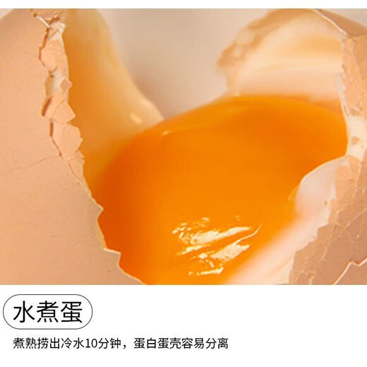 Cereal fresh eggs Farmers’ free-range fresh eggs 40g per piece 5 15 pieces (40g/piece) Cereal fresh eggs Farmers’ free-range fresh eggs 40g per piece 5 15 pieces (40g/piece)