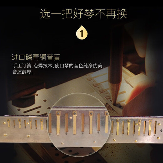 天鹅德国进口音簧28孔复音口琴高端成人重音送礼品专业演奏级乐器 金色复音C调
