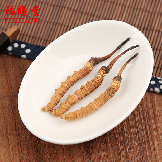Fuxitang Cordyceps sinensis 5 Wurzeln/g 1 Gramm/Box ungefähr 5 Wurzeln