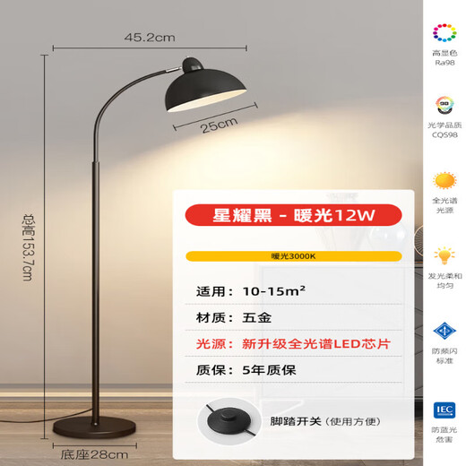 Zhenniu Floor Lamp Atmosphere Light Fishing Lamp 2024 New Living Room Sofa Modern Simple Creative Sofa Bedroom Bedside Star Black Eye Protection Ra98 Warm Light 12W