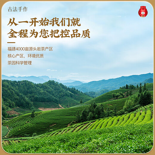 Fudongshun Tea Dahongpao Oolong Tee Authentisch Fujian-Original Wuyi Rock Tea Dosen 500g