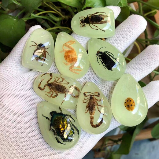 DL 1998 Fat Donglai quality amber insect specimens real insect amber children's excavation archaeological blind box insect amber accessories students gold amber scorpion 1