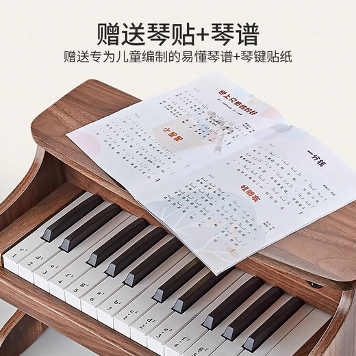 童雀六一儿童生日礼物 儿童木质小钢琴电子琴男女孩宝宝音乐早教玩具 25键棕色【木质电子钢琴】 送琴谱加琴贴