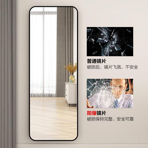 娜兰斯 铝合金穿衣镜全身镜家用挂墙试衣镜壁挂镜子贴墙镜子全身落地镜 土豪金 40*150