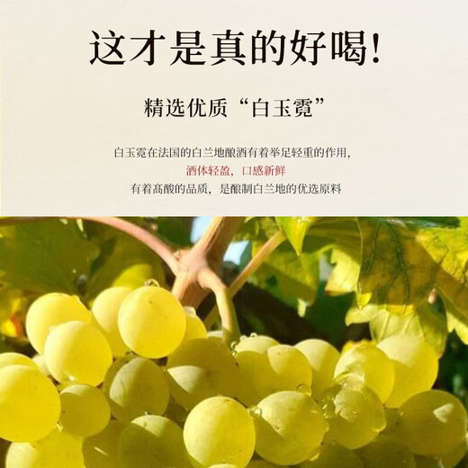 路易马西尼派斯顿法国洋酒xo白兰地40°烈酒橡木桶风味礼盒蓝轩端午送礼 700mL 1瓶