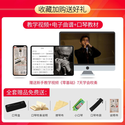 国光口琴日本进口音簧28孔专业演奏级高级旗舰复音C调中老年成人24重音口琴初学者入门乐器 【演奏级】24-孔复音A调哑光黑+赠品