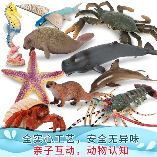 MECHILE Marine Animal Model Set Toys Simulation Biology Blue Whale Crab Starfish Sea Horse Anemone Jellyfish Otter Lobster Starfish