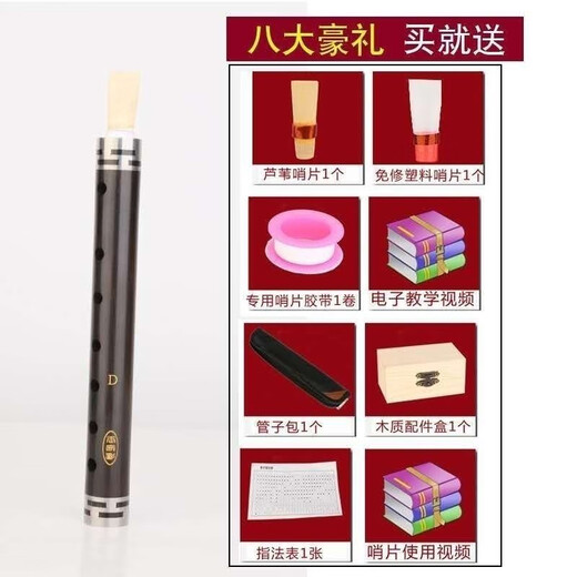 奇宝居 管子乐器 初学乌木管子 C调管子乐器 带哨片演奏乐器 管子+哨片+包 D调-初学