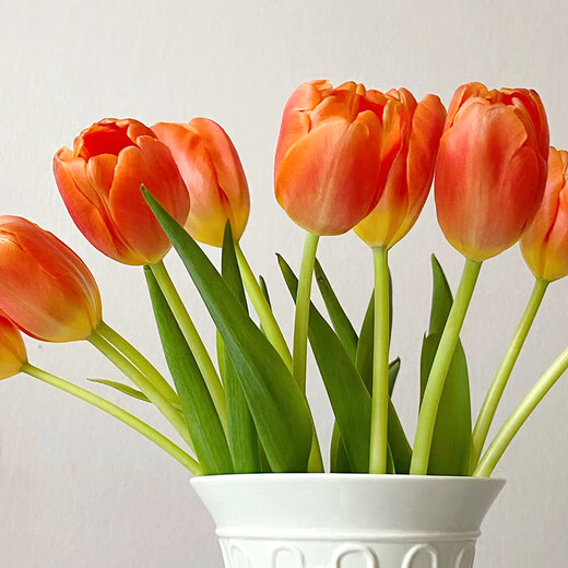Sweet and Romantic Domestic Tulips 10 Random Colors