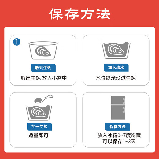 Fresh Jingcai Fresh Oysters 3XL Net weight 5Jin Jin is equal to 0.5kg 13-18 pieces Fresh to your home Fresh seafood Straight from the source