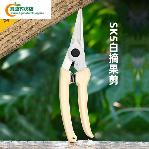 德国进口品质剪树枝专用剪刀园林园艺修枝剪不锈钢修剪树枝 SK5-01白修枝剪+14116:不锈钢橙: