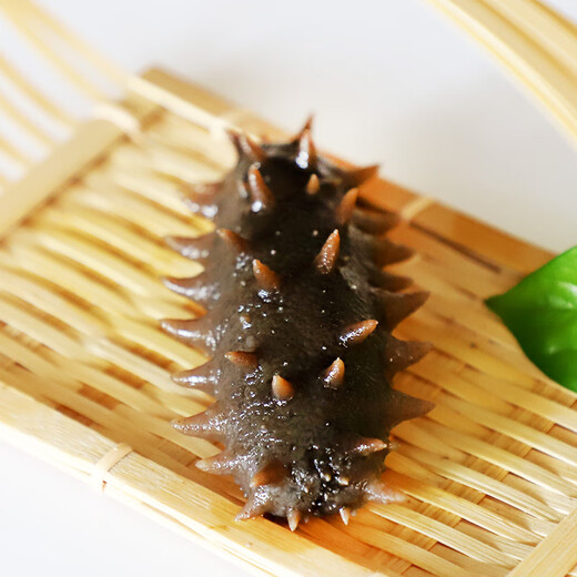 晓芹大连即食海参500g 15-20只 辽刺参 固形物不低于75% 海鲜水产