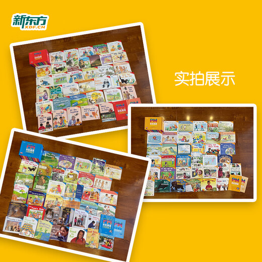 Offizieller Flagship-Store von New Oriental PM Rainbow English Graded Reading Englisch-Bilderbücher für Kinder für die Klassen 1–9 Komplettes Set Einzelbuch Optional American Cengage Original Kinderbuch Enlightenment English Picture Books für Kinder im Alter von 3–12 Jahren Integrierte englische Leselösung Wissenschaftlich bewertete Click-to-Read-Version PM Rainbow English Grades 4–6 (Anwendbar für die Klassen 1–3)