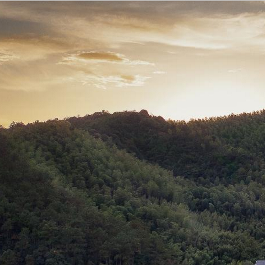 Home Appliances-Black Electricity Procurement and Sales Department Team Building Expenses