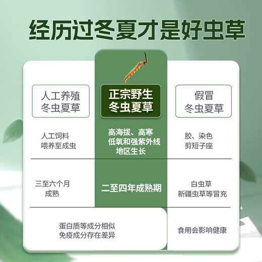 国坤堂【野生可溯源】野生冬虫夏草 西藏那曲新干虫草滋补礼品礼盒 6~7根/克 1克【多买升级礼盒】