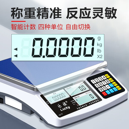 乐祺 高精度计数电子秤商用0.1g精准克称0.01g精密智能工业称重电子台秤 【充电款】30kg精度1g