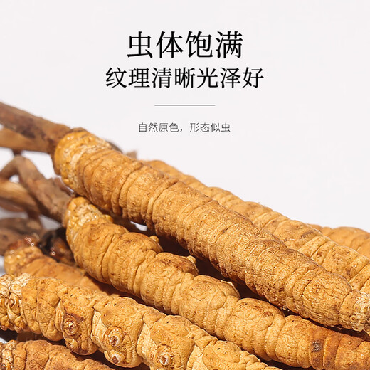 福东海 冬虫夏草礼盒4克  甄选高品质干虫草 送礼送长辈滋补品 冬虫夏草4克礼盒 (16小罐)
