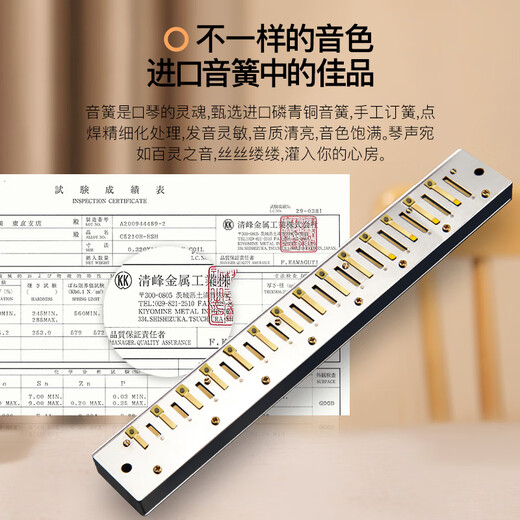 天鹅SWAN口琴 28孔复音高级定制成人专业演奏口琴C调（黑色）