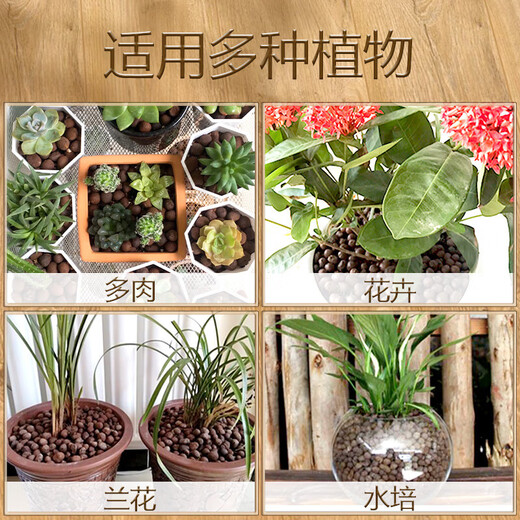 Ceramic bottom multi-succulent soil terracotta granular flower potting special colored breathable paving stone backfill volcanic stone particles 1.2-1.6cm lightweight ceramsite 10L